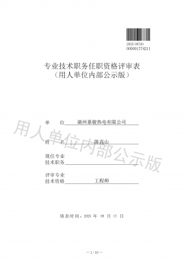 专业手艺职务任职资格评审表 （用人单位内部公示版）
